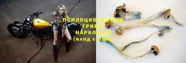 мяу мяу мука Богданович