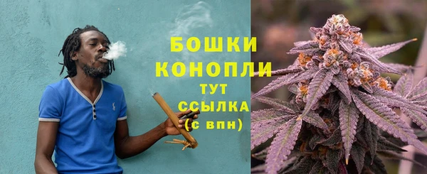 мяу мяу мука Богданович