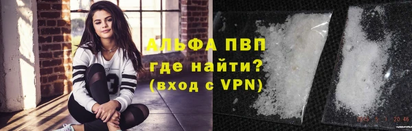 гашик Горняк