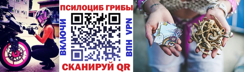 дарнет шоп  Велиж  блэк спрут ONION  Псилоцибиновые грибы Cubensis 